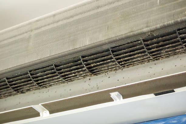 Best Emergency Air Duct Cleaning  in Sonora, CA